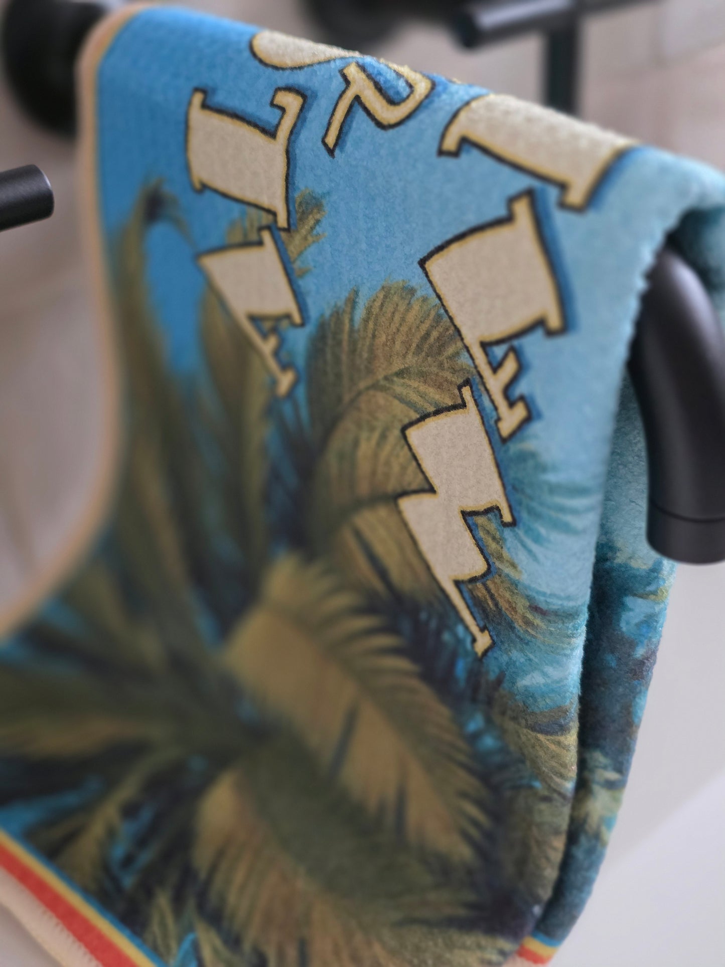 ALONG THE MALIBU KITCHEN TOWEL
